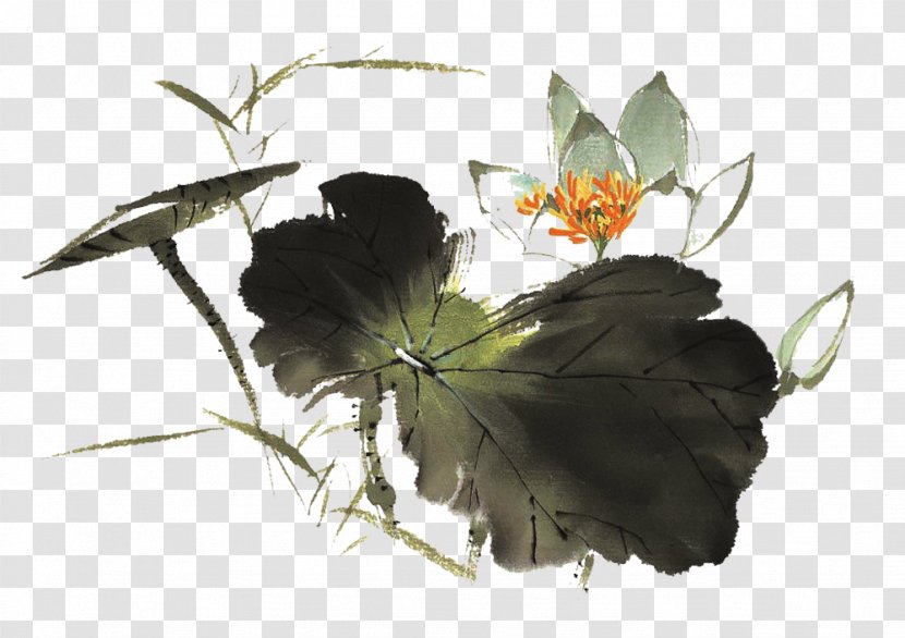 Nelumbo Nucifera Ink Wash Painting - Gongbi - Chinese Style Lotus Picture Material Transparent PNG