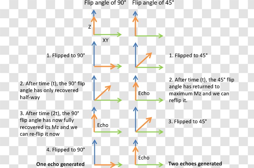 Flip Angle Magnetic Resonance Imaging Gradient Echo Spin Nuclear - Phase Transparent PNG