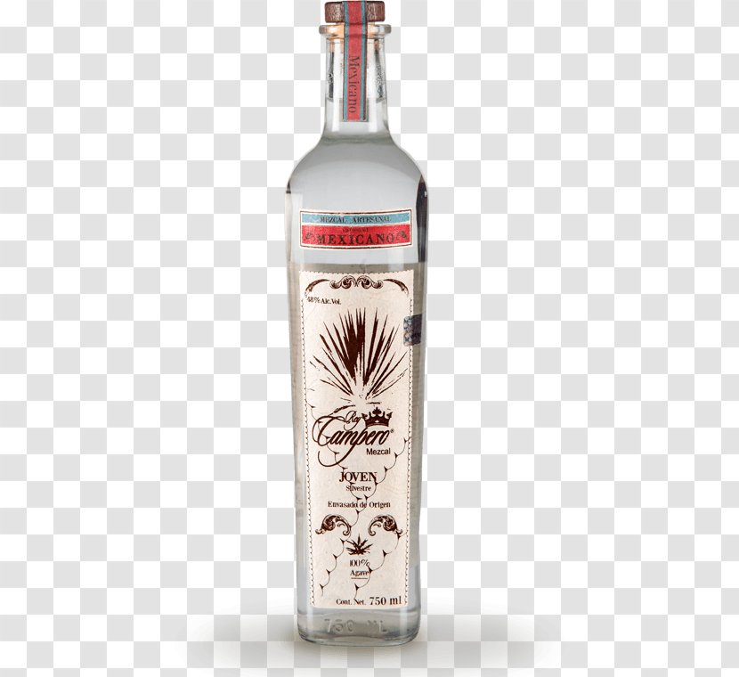Liqueur Mezcal L'esprit Du Mexique Tequila Century Plant - Agave Transparent PNG
