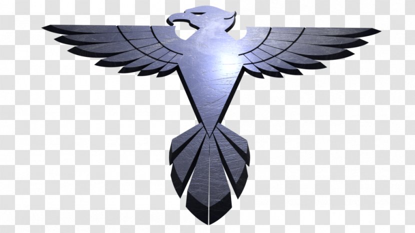Logo Hawk Symbol Film - Bird Transparent PNG