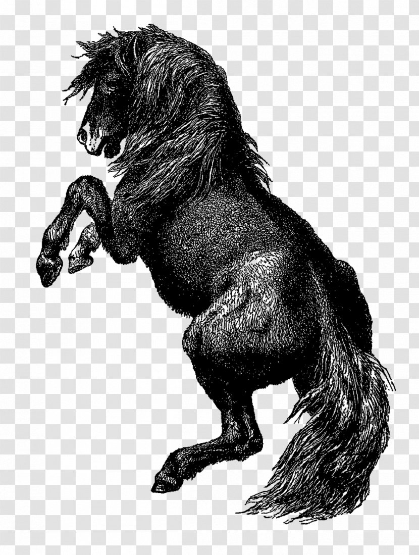 Mustang Stallion Gorilla Werewolf Canidae - Livestock Transparent PNG