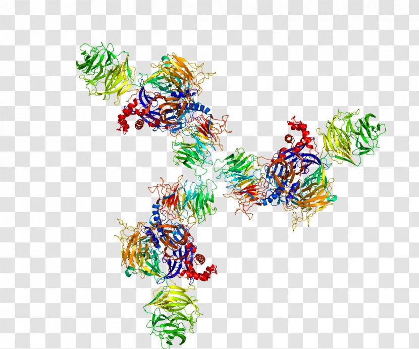 DDB2 DNA-binding Protein Complex - Watercolor - Cartoon Transparent PNG