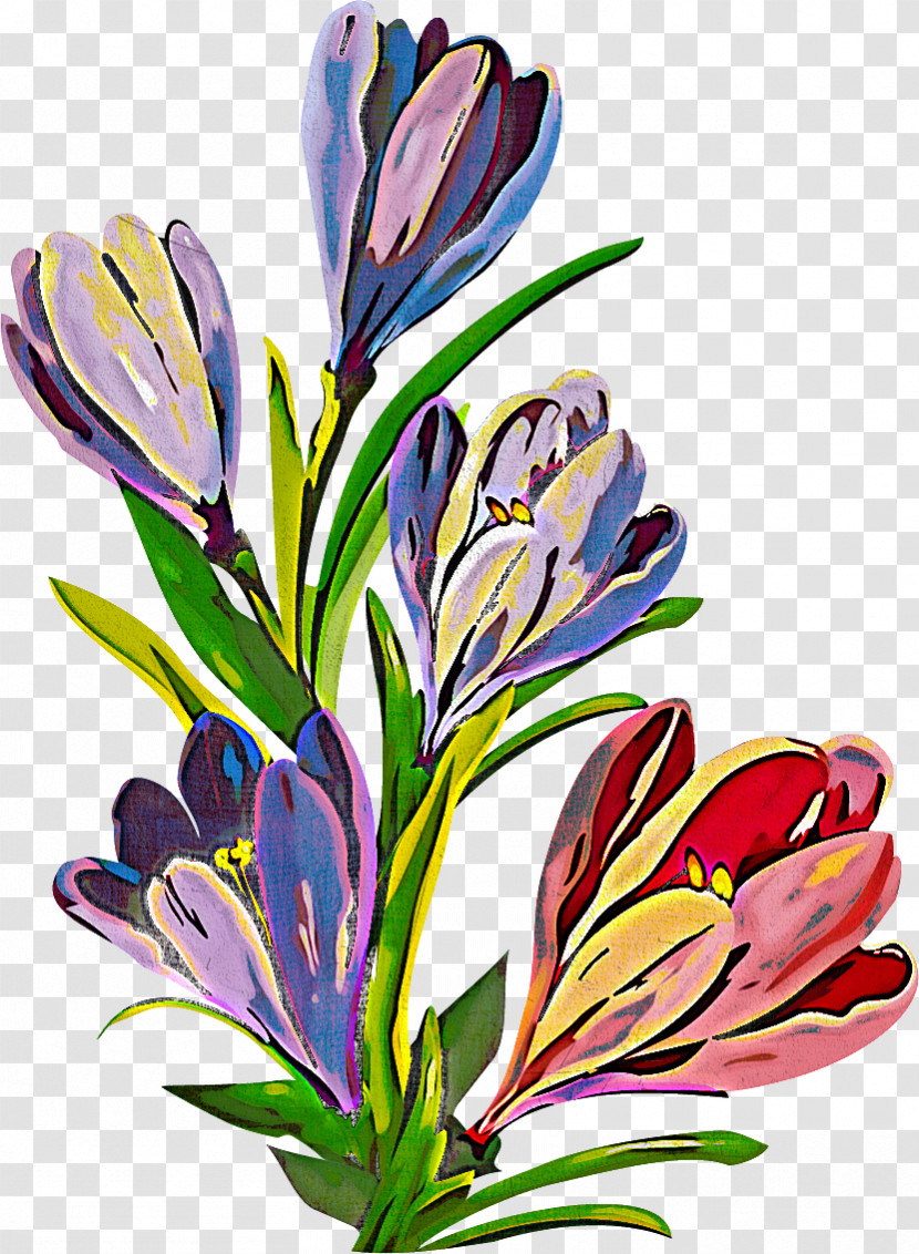 Flower Plant Crocus Petal Transparent PNG