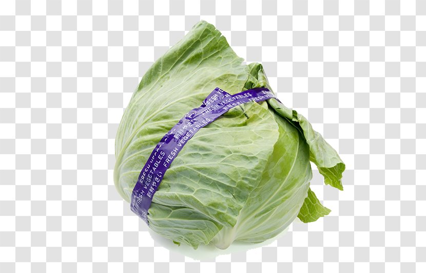 Red Cabbage Brussels Sprout Kale Vegetable - Japanese Giant Mustard - Fresh Green Transparent PNG