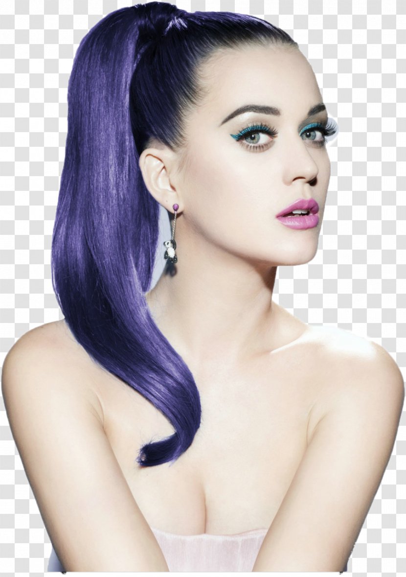 Katy Perry Ponytail Hairstyle - Frame Transparent PNG