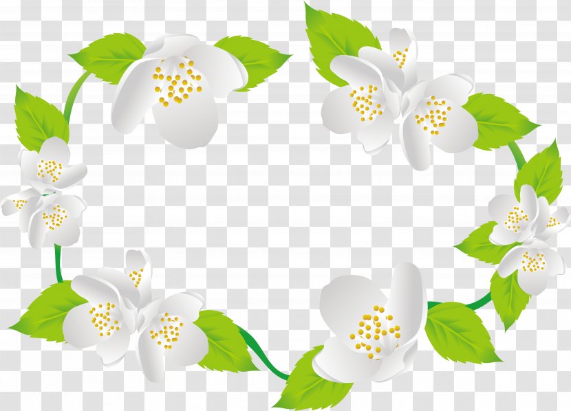 Arabian Jasmine Flower Euclidean Vector - Plant - Exquisite Border Transparent PNG