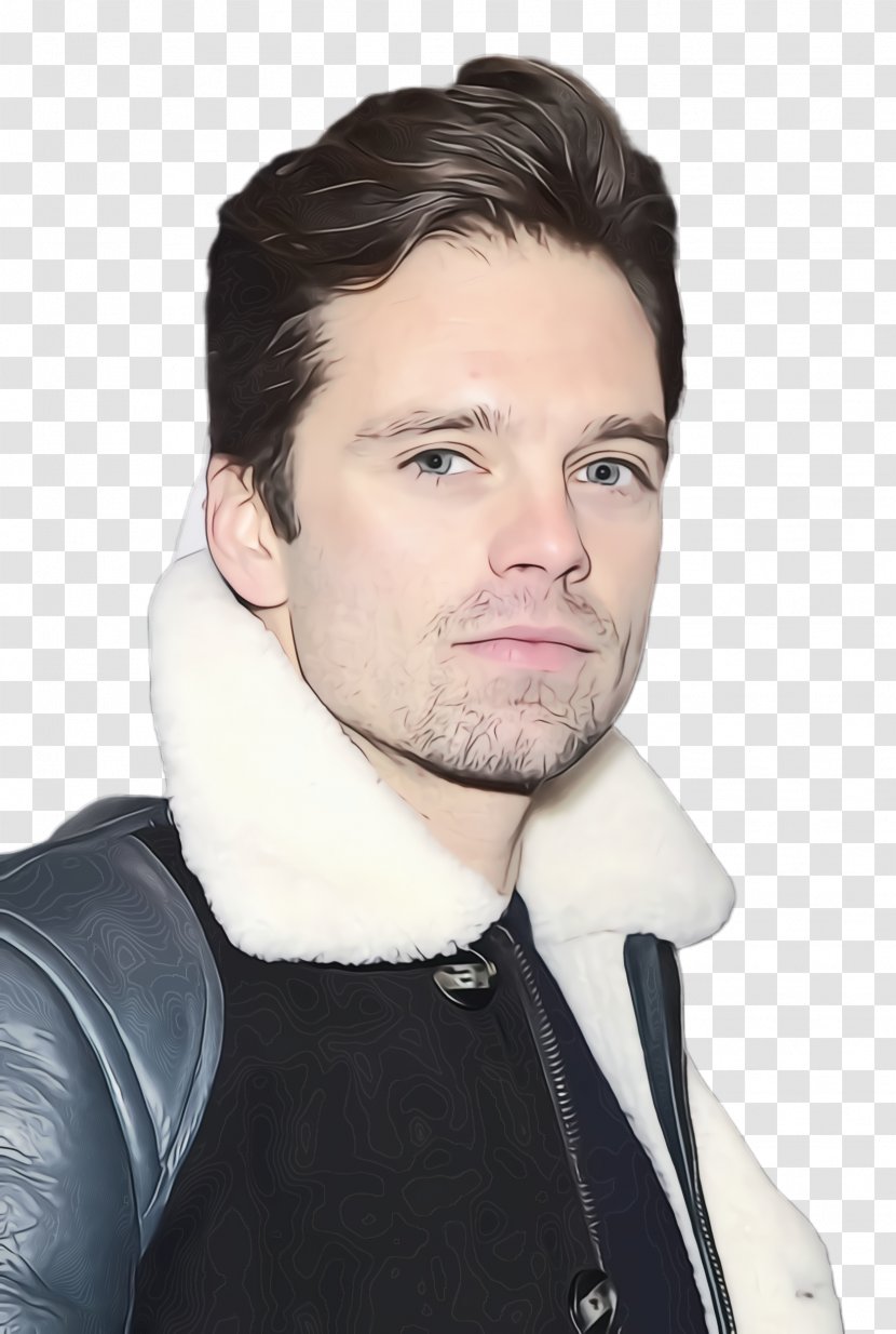 Moustache Cartoon - Sebastian Stan - Jacket Long Hair Transparent PNG