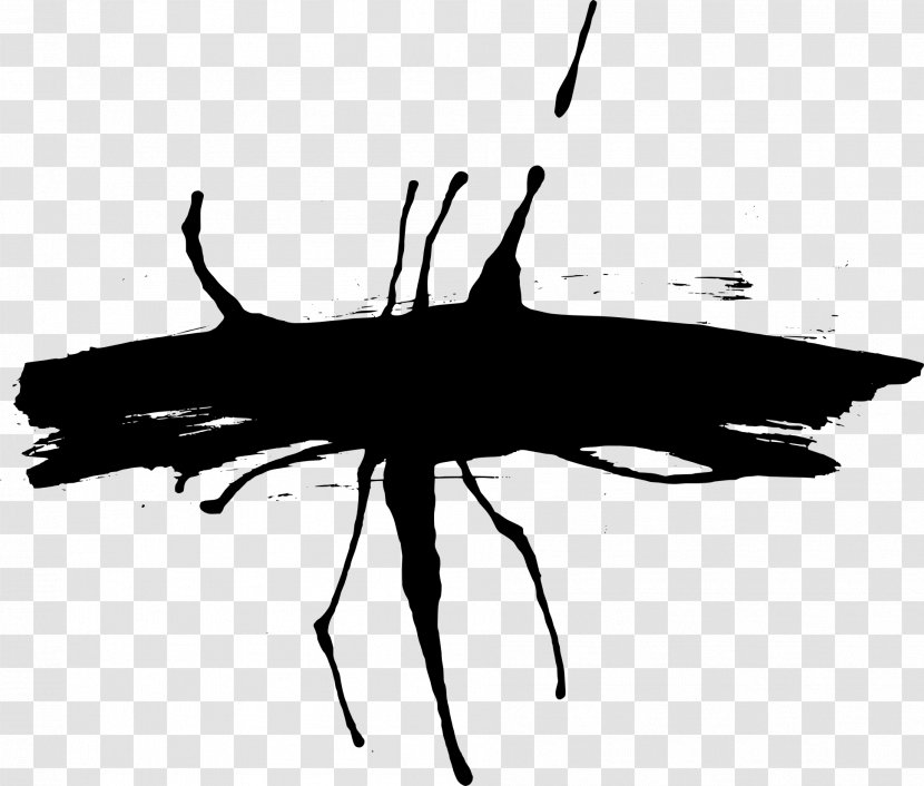Insect Paper Black And White Monochrome Photography - Membrane Winged - Brush Strokes Transparent PNG