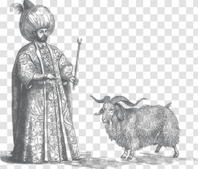 Sheep Angora Goat Ahuntz Mohair Textile - Fictional Character Transparent PNG