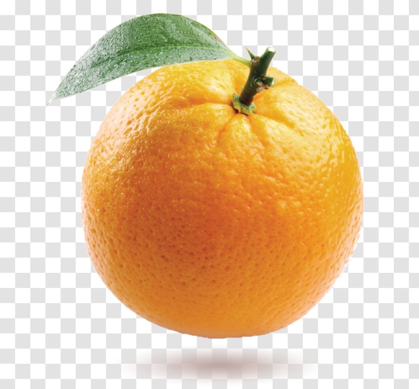 Orange Chicken Fruit Mandarin Desktop Wallpaper Transparent PNG