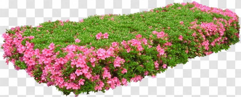 Flower Garden - Shrub Transparent PNG