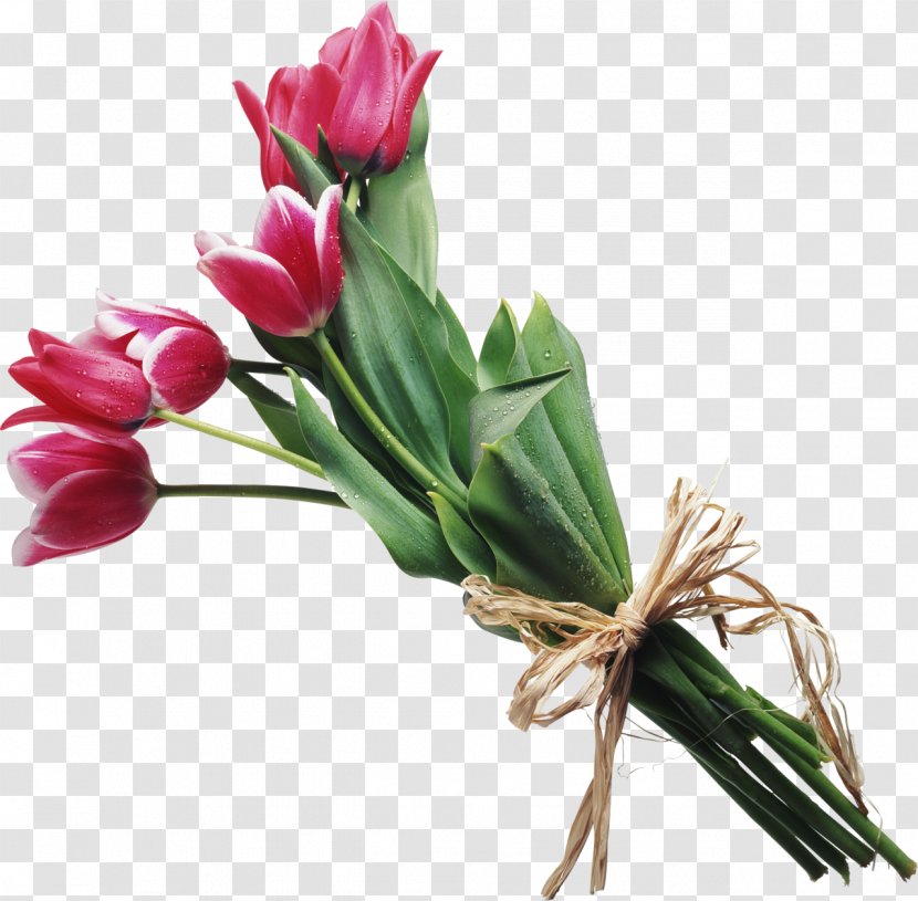 Flower Bouquet Tulip Clip Art - Plant Stem Transparent PNG