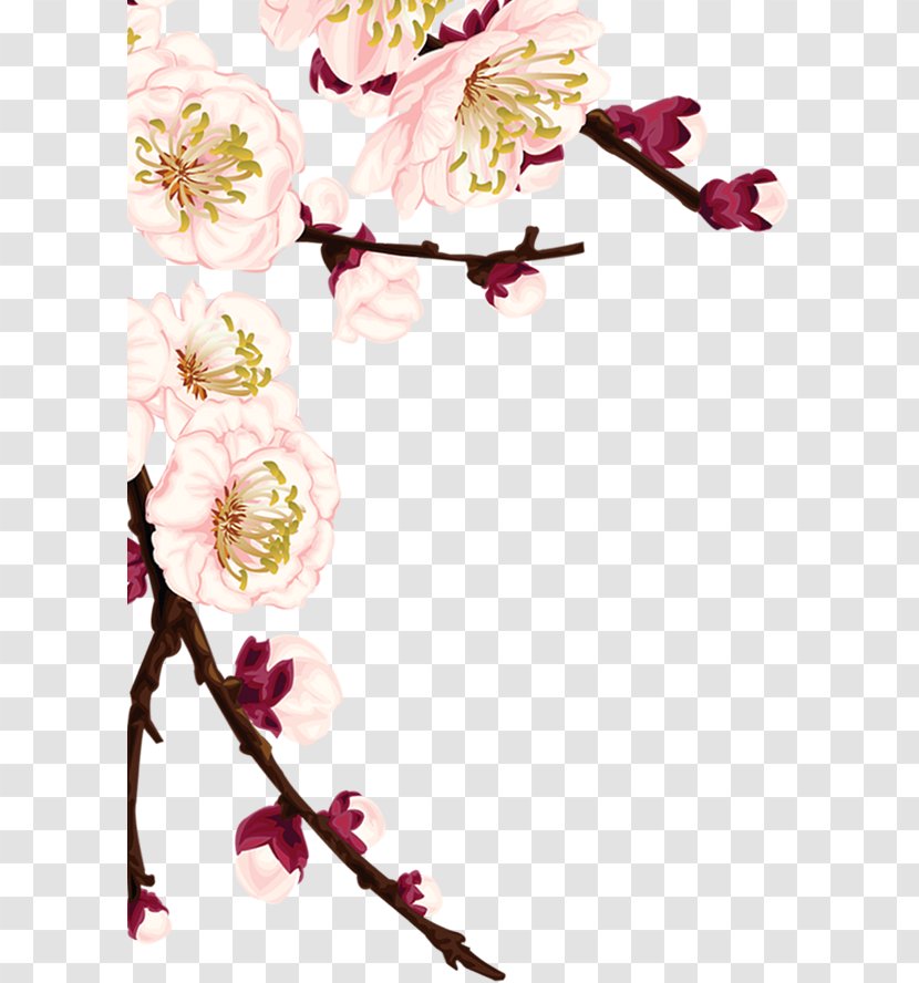 Plum Blossom - Flowering Plant - Decorative Material Transparent PNG