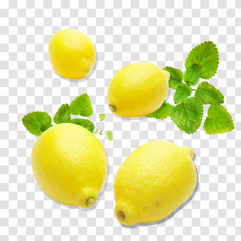 Lemon Citron Lime Citric Acid Yellow - Fruit Transparent PNG