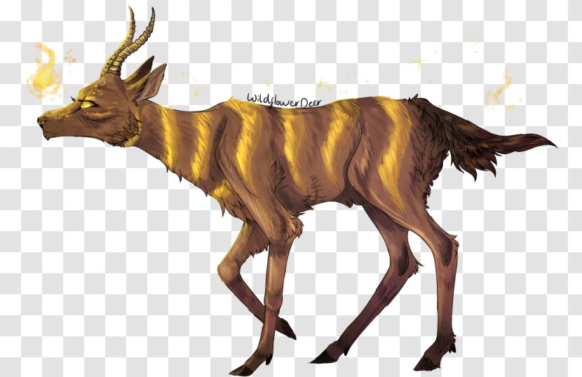 Cattle Antelope Elk Goat Wildlife - Horn Transparent PNG