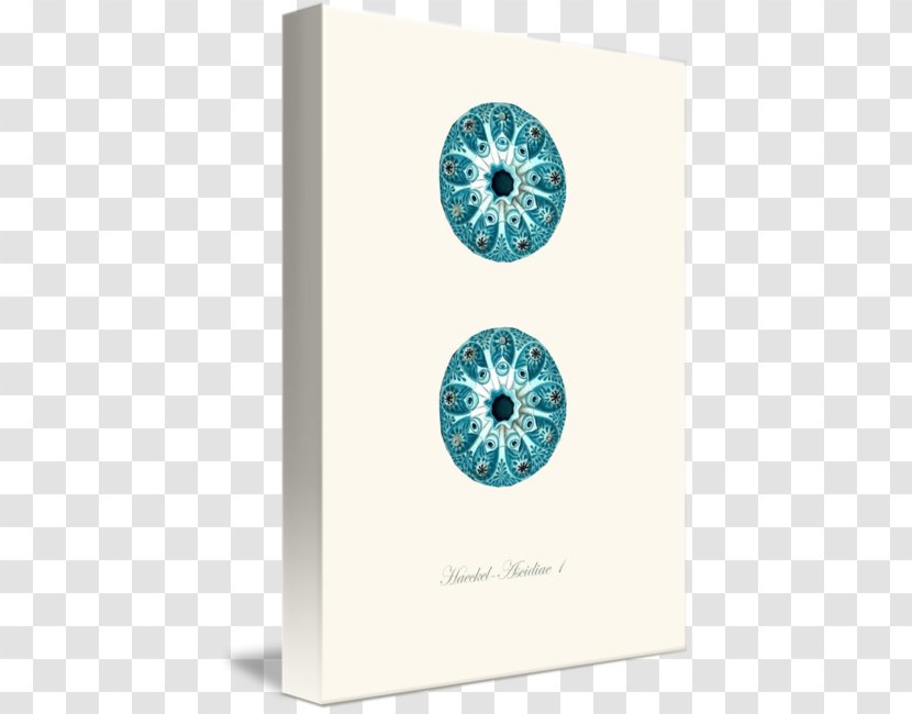 Gallery Wrap Poster Turquoise Blue Printmaking - Canvas - Antique Decoration Transparent PNG