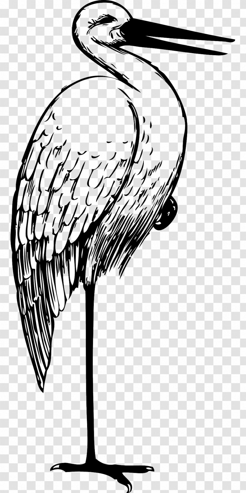 White Stork Clip Art - Monochrome Photography Transparent PNG