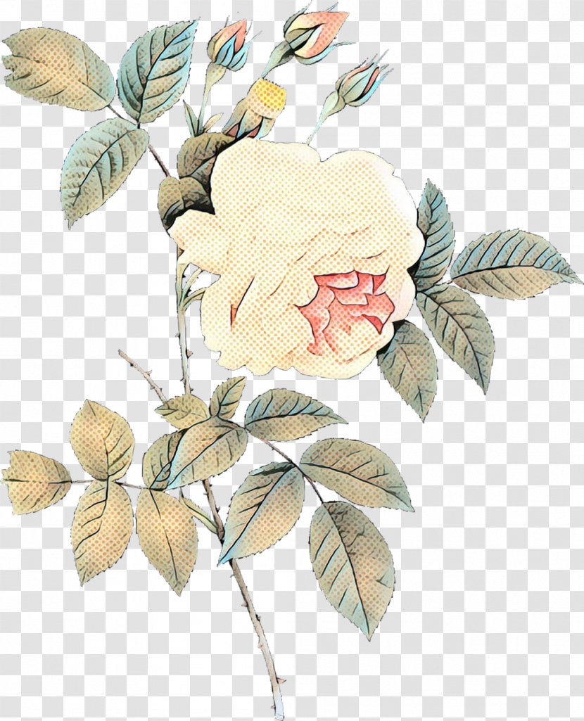 Flowers Background - Pop Art - Prickly Rose Plant Stem Transparent PNG