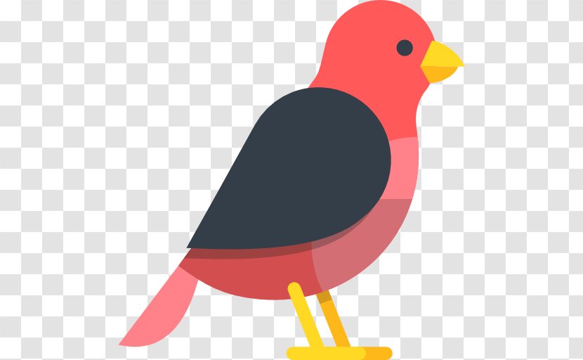 Bird Finch - Wing - Windmill Toys Transparent PNG