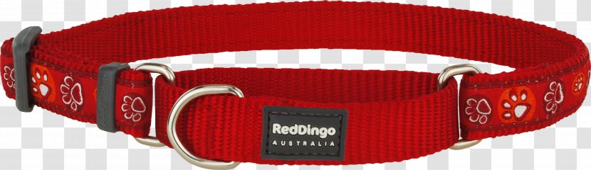 Dog Collar Dingo Martingale Strap - Dring - Red Transparent PNG