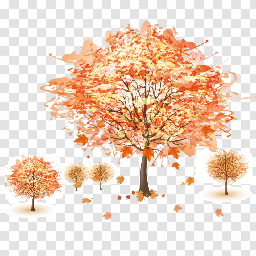 Autumn Tree Royalty-free - Petal - Beautiful Background Transparent PNG