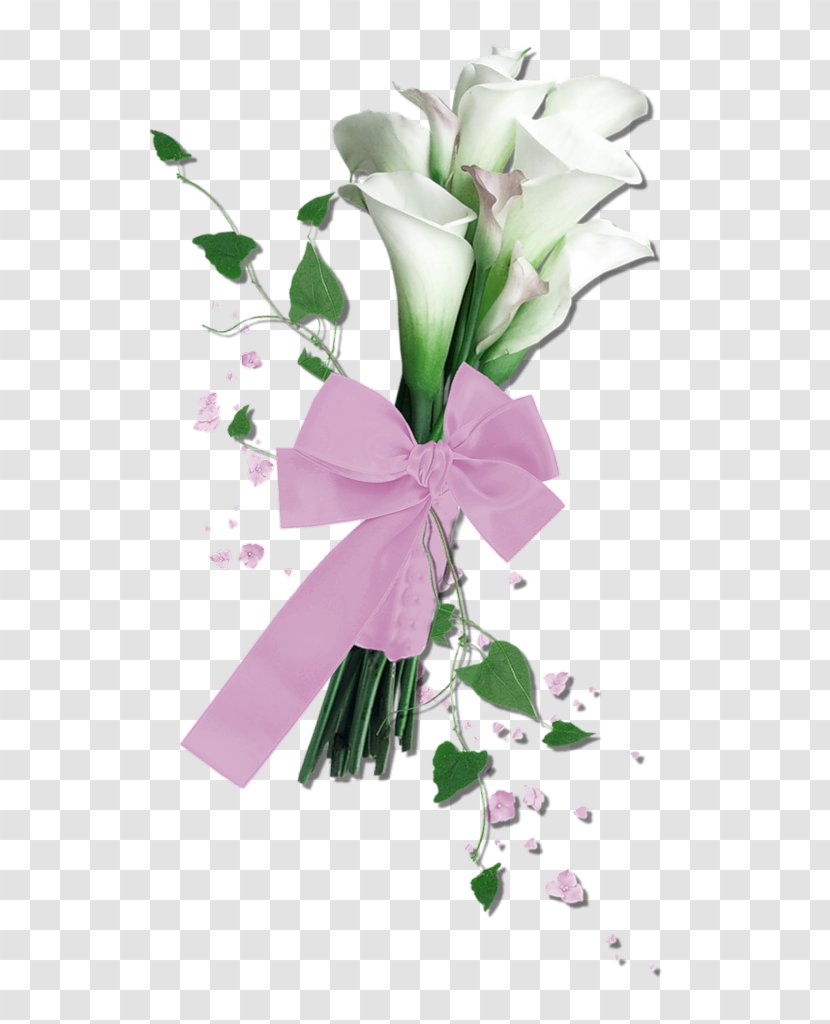 Arum-lily Floral Design Flower Clip Art - Rose Family - White Calla Bouquet Ribbon Decorative Pattern Transparent PNG