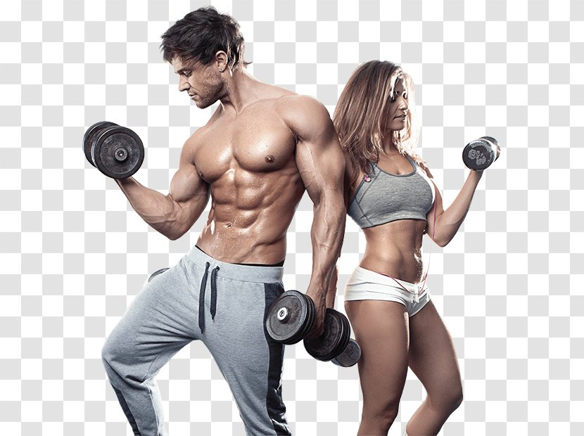 Fitness Centre Physical Personal Trainer JH Training - Tree - Private ExerciseCouple Transparent PNG