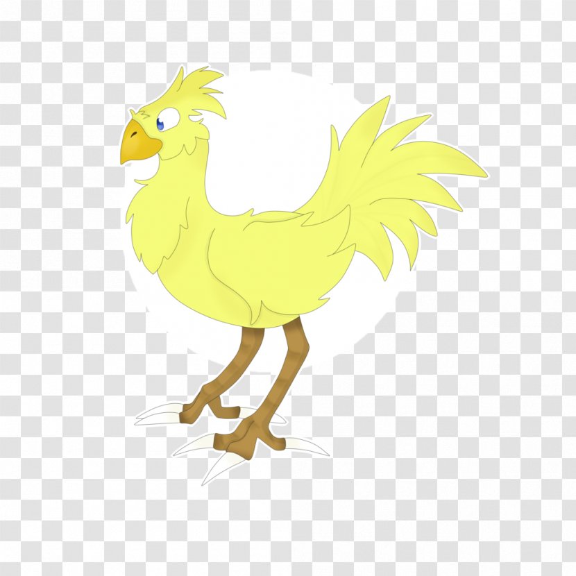 Rooster Chicken Clip Art Illustration Beak - Bird Transparent PNG