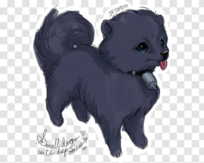 German Spitz Klein Pomeranian Schipperke Rare Breed (dog) - Dog - Puppy Transparent PNG