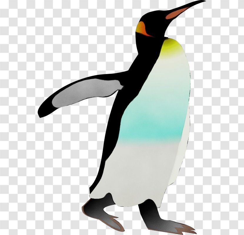 Watercolor Background - Bird - Animal Figure Gentoo Penguin Transparent PNG