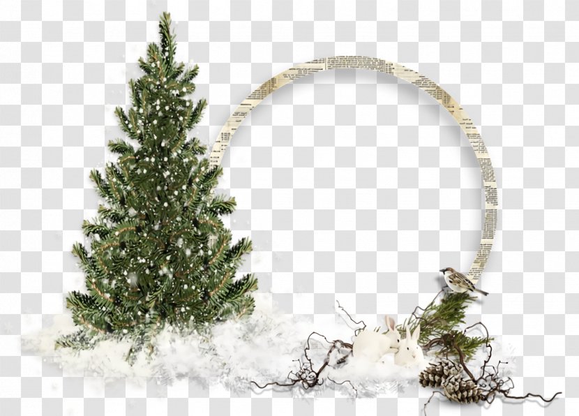 Christmas Frame Border Decor - White Pine - Spruce Plant Transparent PNG