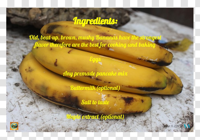 Saba Banana Cooking Musa Acuminata - Family - Pancake Transparent PNG