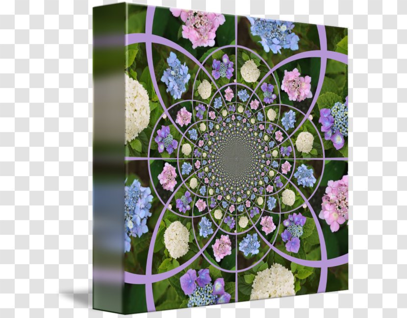 Floral Design Symmetry Flowering Plant Pattern - Floristry Transparent PNG