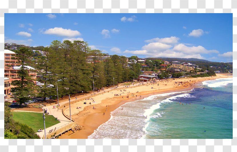 Central Coast Terrigal Beach North Avoca - Crowne Plaza - Surf Transparent PNG