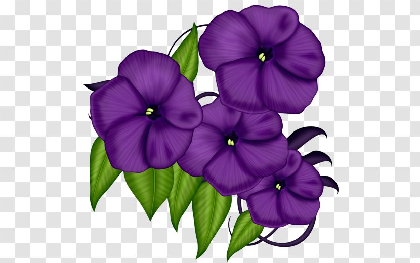 Petal Flower Violet Clip Art Transparent PNG