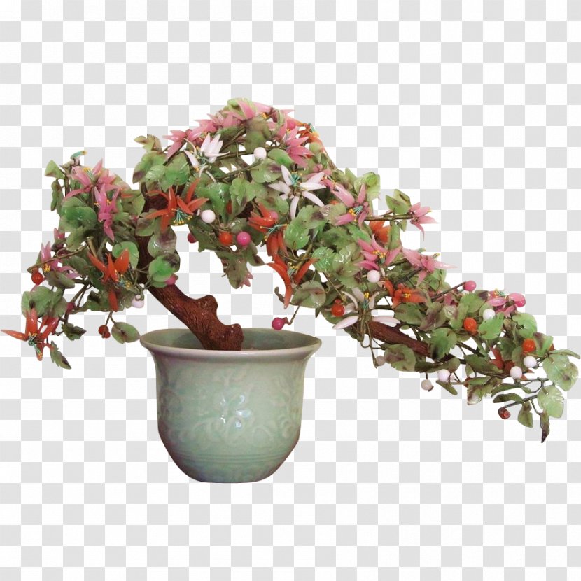 Jade Plant Chinese Tree Bonsai - Flower Transparent PNG