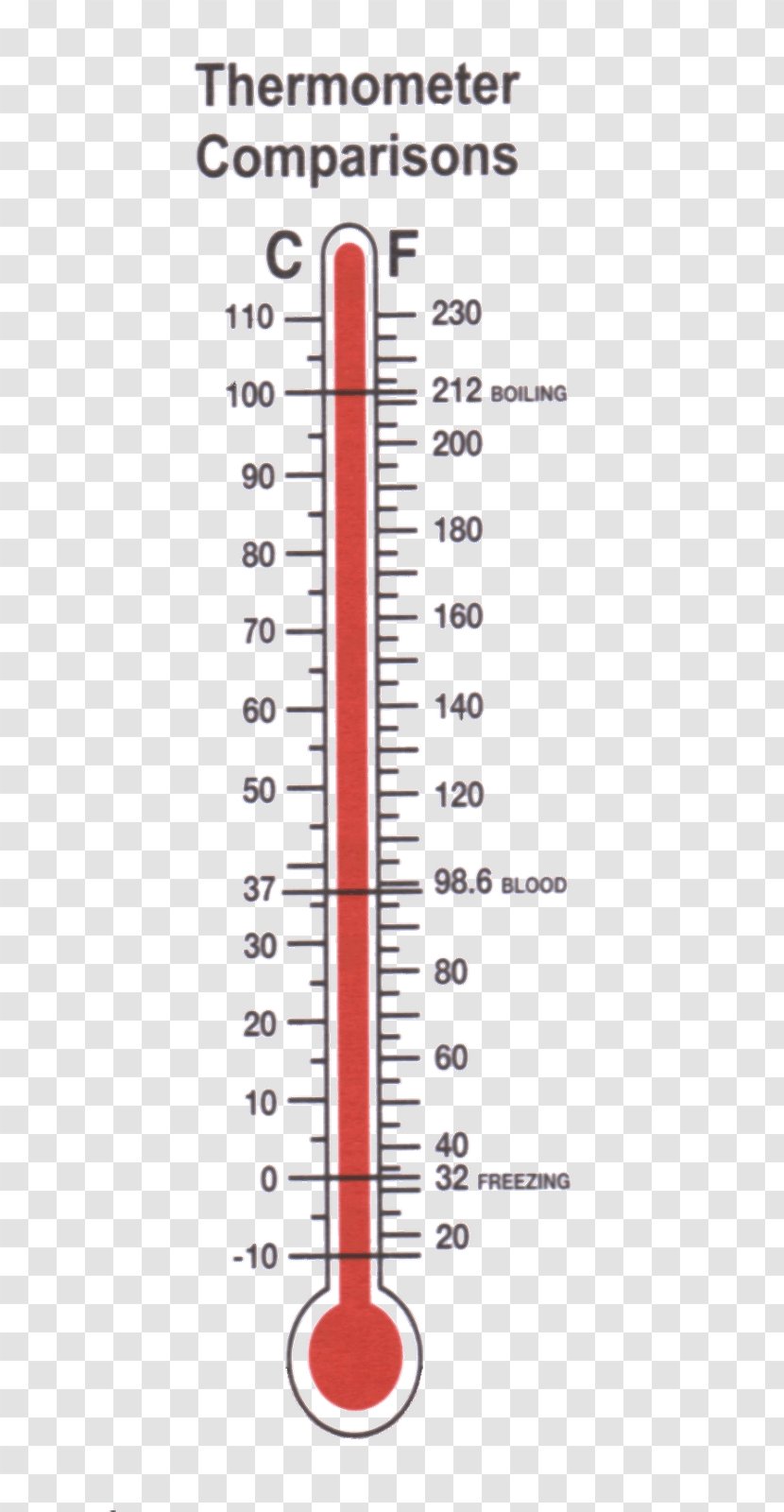 thermometer measuring temperature