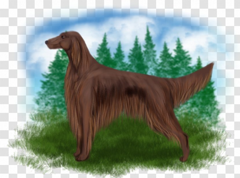 Irish Setter Flat-Coated Retriever Dog Breed Companion - Mammal Transparent PNG