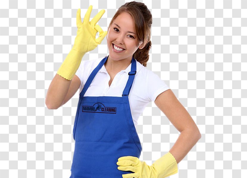 Cleaner Maid Service Commercial Cleaning Housekeeping - Industry - House Transparent PNG