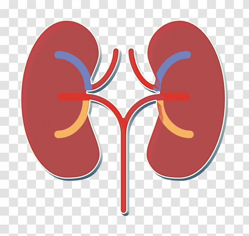 Medical Asserts Icon Kidney Icon Transparent PNG