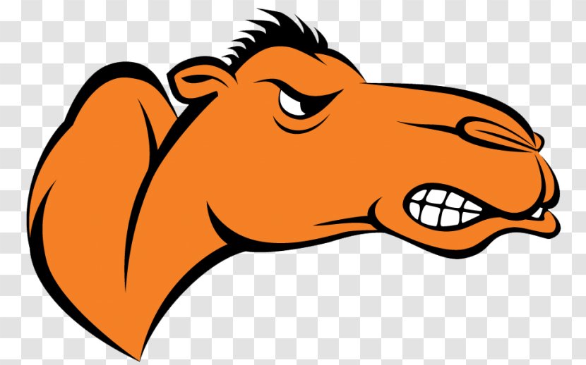Campbell University Fighting Camels Women's Basketball Men's Football Division I (NCAA) - Organism - And Lady Transparent PNG