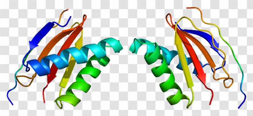 DYNLL1 DYNLL2 Dynein Wikipedia Protein - Silhouette - Myosin Motor Proteins Transparent PNG