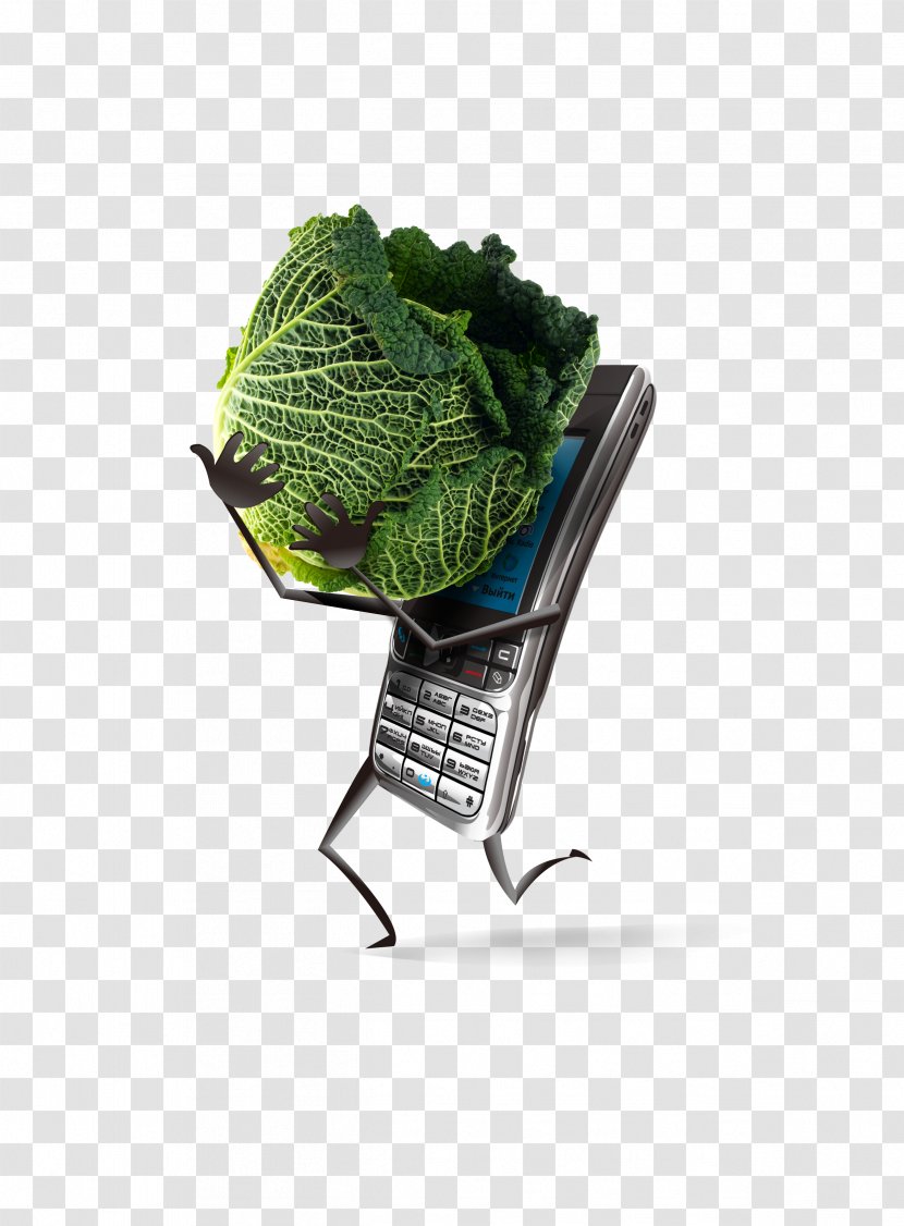 Poster Advertising Creativity - Hold The Phone Cabbage Transparent PNG