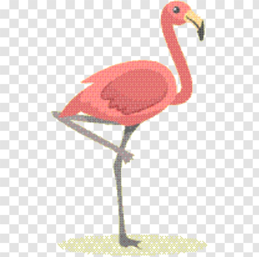 Beak - Bird - Pink Water Transparent PNG