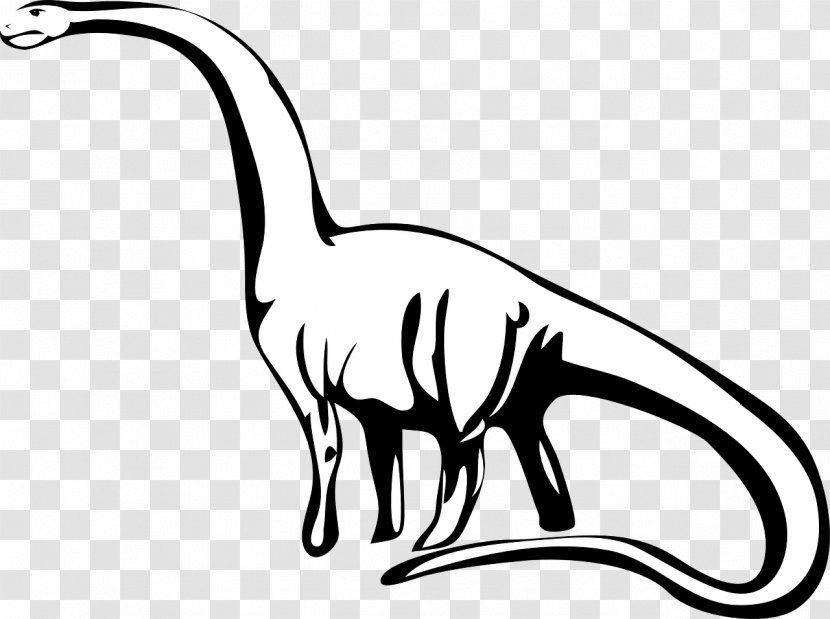 Stegosaurus Tyrannosaurus Brachiosaurus Dinosaur Clip Art - Line Transparent PNG