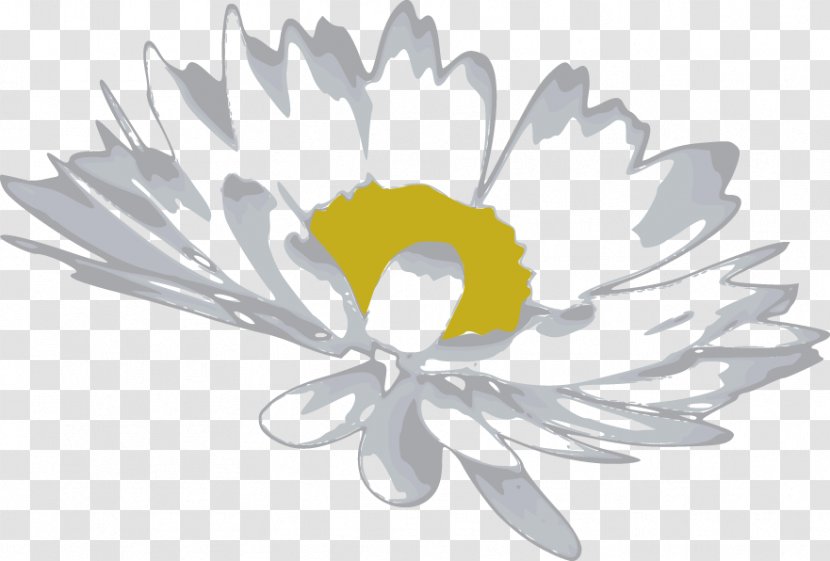 Cut Flowers Petal Common Daisy - Flower - Vector Transparent PNG