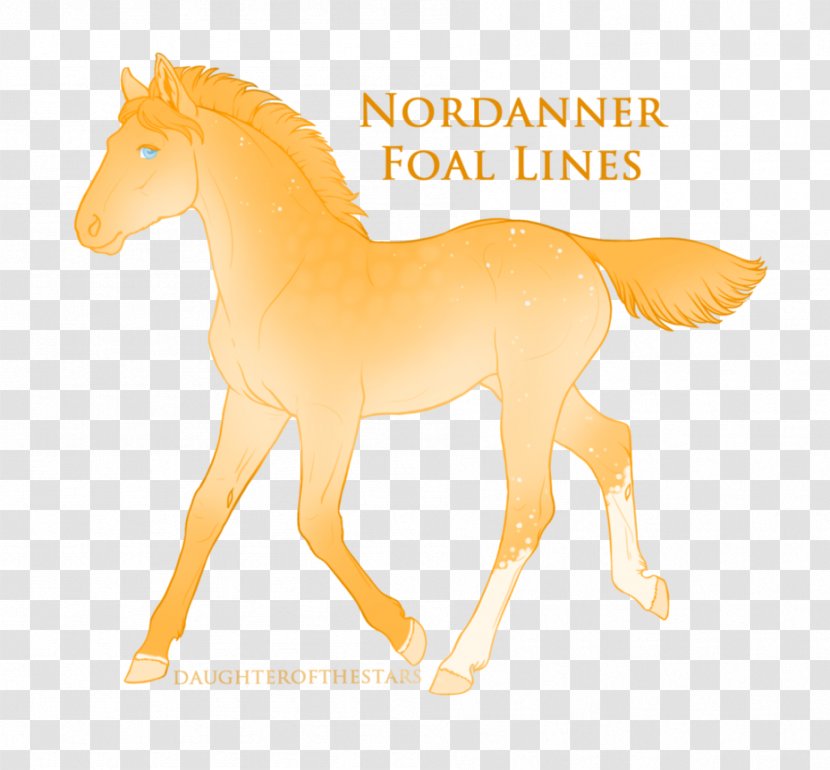 Mane Mustang Stallion Foal Mare - Liver Transparent PNG