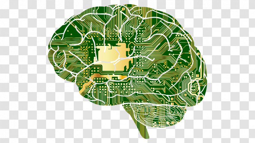 Deep Learning Research Human Brain Murach's Java Programming - Tree - Artificial Intelligence Transparent PNG