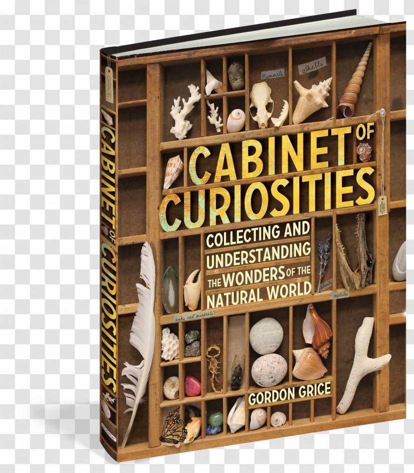 Cabinet Of Curiosities: Collecting And Understanding The Wonders Natural World Cabinets Curiosities Hardcover Book - Furniture Transparent PNG