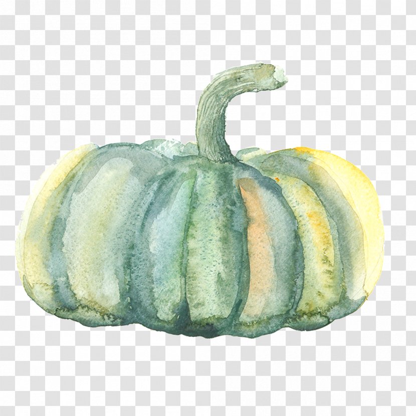 Pumpkin Watercolor Painting Gourd - Cucurbita Transparent PNG